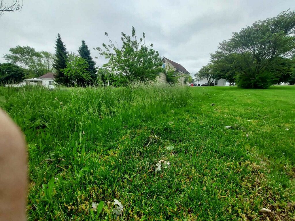 Overgrown yard before mowing and landscaping service in Knox Indiana